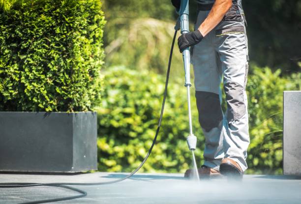 Best House Exterior Washing  in Frankfort, IN