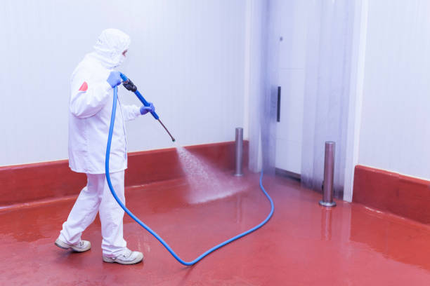 Best Driveway Pressure Washing  in Frankfort, IN