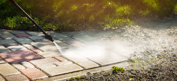 Best Dumpster Area Cleaning  in Frankfort, IN